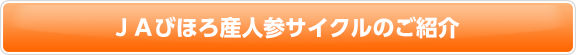 JAびほろ産人参サイクルのご紹介