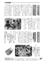 JAびほろ広報　グリーンタイム　2011年6月号（No.544）