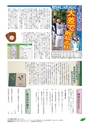 JAびほろ広報　グリーンタイム　2015年8月号（No.594）