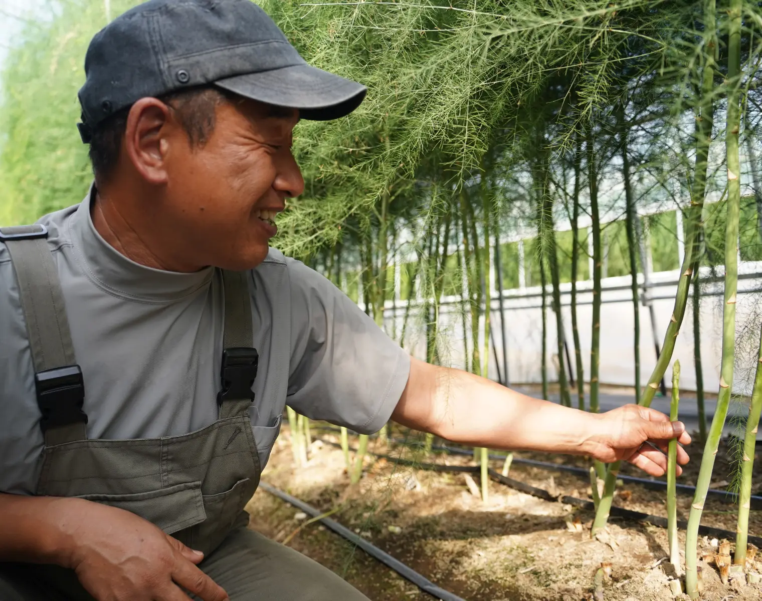 アスパラを笑顔で紹介する農家さん（スマートフォン用）