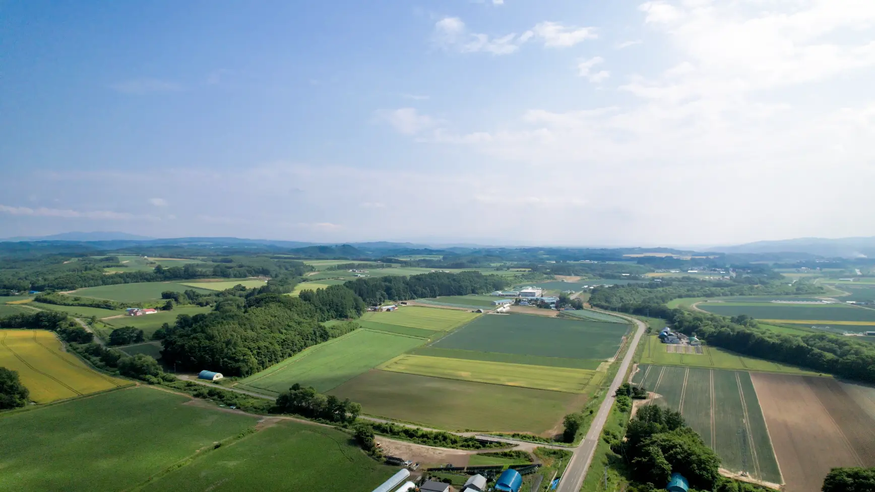 美幌の農地風景
