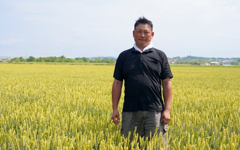 美幌の小麦畑にたたずむ農家さん