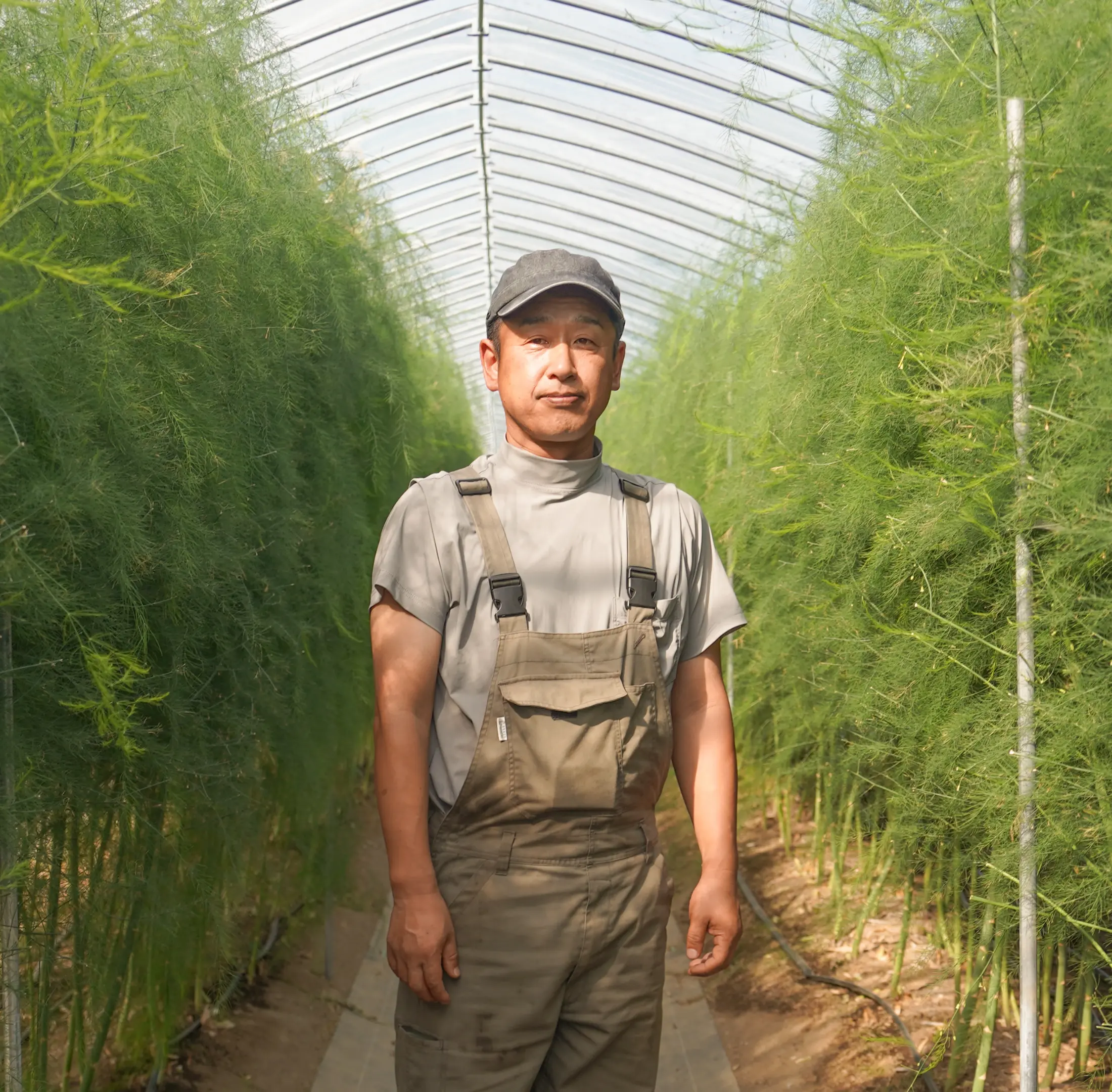 美幌のアスパラ農家、中原さん